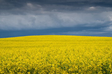 Obraz premium Scenic spring landscape in Moravia