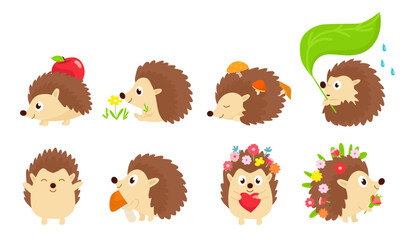 Hedgehog vector cartoon prickly animal character with love heart. wildlife illustration set of hedgehog-tenrec sleeping or playing in forest isolated on white background. Happy autumn forest mammals