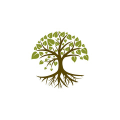 Tree of life with roots icon isolated on transparent background