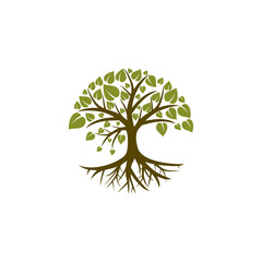 Naklejka premium Tree of life with roots icon isolated on transparent background