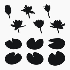 Real modern silhouettes plants, herbs. Drawing flowers water lily, nymphaea. Flat design art design template.