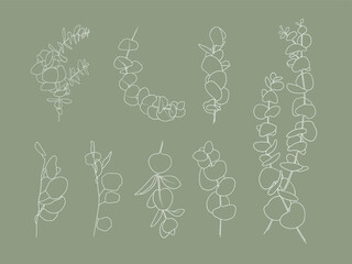 White floral Eucalyptus leaves set on green background, botanical vector illustration. Summer Leaves line art drawing. Wedding element for card 