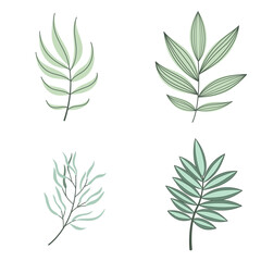 Vector leaves set. Leaves illustration