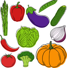 Set of the ripe vegetables in a linear style.