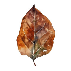 brown leaf isolated on white , ai generated