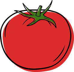 Illustration of a ripe tomato in a linear style.