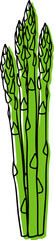 Illustration of a bunch of asparagus in a linear style.