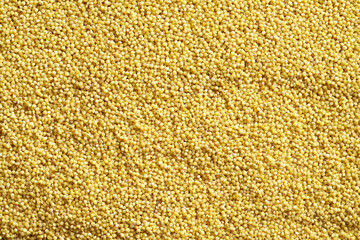 Yellow background made of peeled millet, with copy space