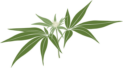 Fototapeta premium simplicity cannabis plant freehand drawing 
