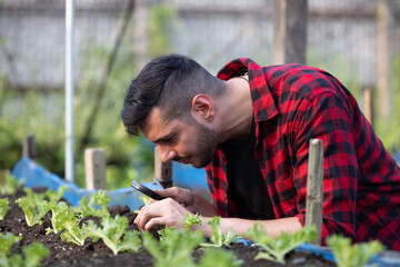 Before preparing veggies for sale in market, a farm worker uses a magnifying glass to inspect, detect disease symptoms or damage from insect, weed, and fungal growth to comply with organic standards.