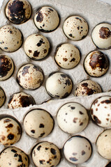 Quail eggs in a paper tray