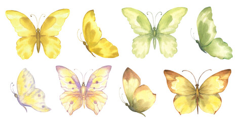 Set of watercolor butterflies, yellow and green color, isolate on white background