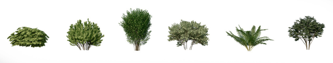 Set of 3d green bushes isolated on white background	