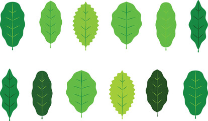 Spring green leaves flat style illustration vector eps 10