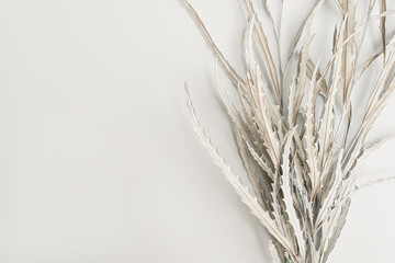 Dry floral leaves and branches on white background. Flat lay, top view minimal neutral flower composition