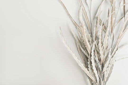 Dry floral leaves and branches on white background. Flat lay, top view minimal neutral flower composition © Floral Deco