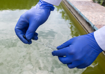 Water sample. Bacterial control of pool water. Checking the amount of algae, harmful substances and...