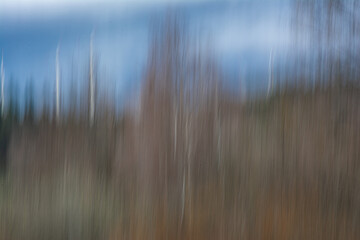 Abstrakte Fotografie eines Laubwaldes mit Birken. Im Hintergrund Windräder