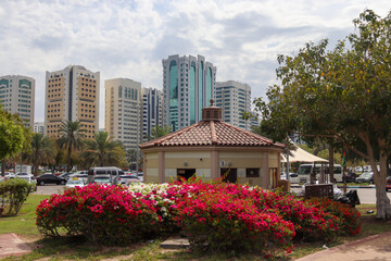 Fototapeta na wymiar View from the park of abu dhabi downtown city