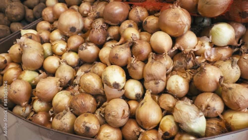 Poster onions are on the shelf in the store