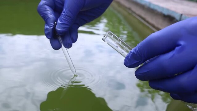 Water sample. Bacterial control of pool water. Checking the amount of algae, harmful substances and chemicals. Laboratory study of water from artificial reservoirs. Taking liquid into a test tube