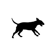 bull terrier runs Silhouette Dog