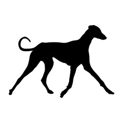 greyhound dog runs Silhouette Dog