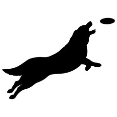  dog jumps for the plate  Silhouette Dog