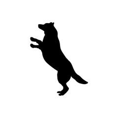 dog stands on two paws Silhouette Dog