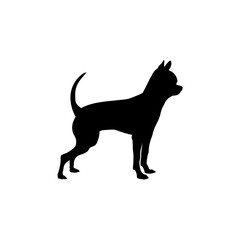 chihuahua Silhouette Dog