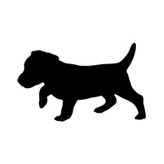puppy Silhouette Dog
