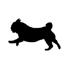 pug runs  Silhouette Dog