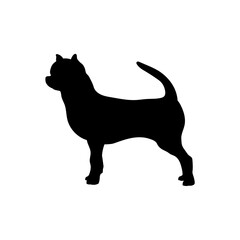 silhouette Silhouette Dog