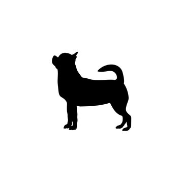chihuahua silhouette
