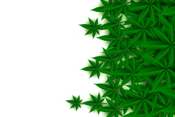 Fototapeta premium green cannabis leaves on white background design
