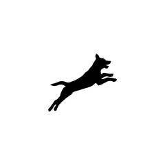Obraz na płótnie Canvas dog jumps 