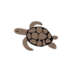 Turtle Character sea animal on deep background. Wild life illustration. Underwear world. Vector illustration.