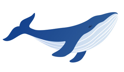 Cartoon blue whale vector. Underwater sea marine animal.