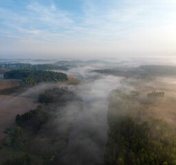 Aerial view of the big landscapes and fir forests on a misty day