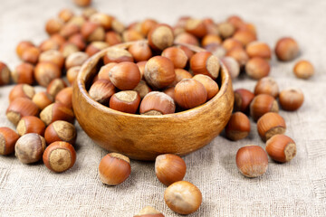 Whole raw hazelnuts on a linen napkin background. Paleo diet baking cooking concept. Selective focus