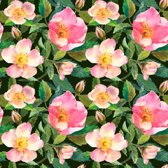 Obraz premium Watercolor illustration. Seamless pattern of rose hips flowers, leaves, berries on a dark green background. Seamless design of ripe rose hips for fabric, paper, printing, etc.