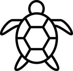 Obraz premium Turtle