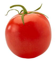 Red cherry tomato isolated
