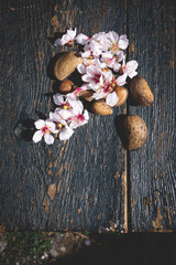 montón de almendras y flores de almendro sobre una mesa de madera vieja