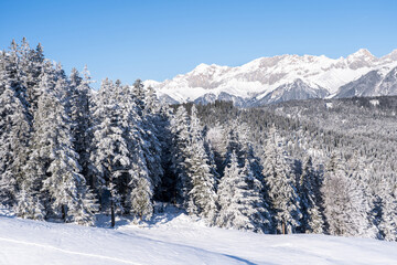 Fototapeta na wymiar Winter forest in Seefeld, Austria