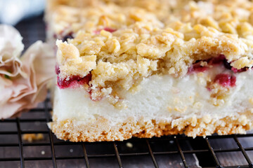 Homemade fruit cake with blueberries and red currant.