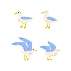 Fototapeta premium Seagull. Atlantic seabird. Marine Animal Vector illustration on white background.