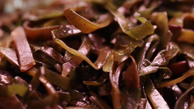 A pile of seaweed lettuce in bulk