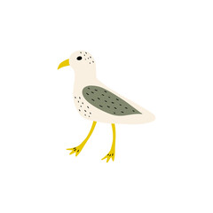 Seagull. Atlantic seabird. Marine Animal Vector illustration on white background.