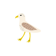Seagull. Atlantic seabird. Marine Animal Vector illustration on white background.
